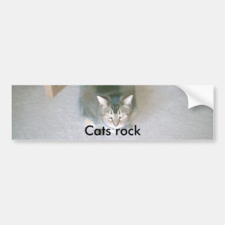 Kattengesteente Bumpersticker