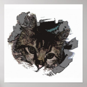 Kattengezicht - Kattenogen Poster Poster Print - K