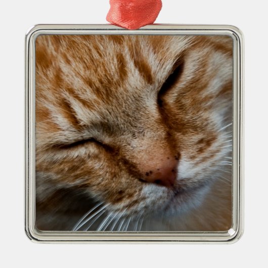 Kattengezicht Premium Square Ornament (Voorkant)