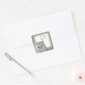 Kattenhaar kan Stickers niets schelen (Envelop)