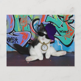 Kattenhouding.......Kattenhouding! Briefkaart