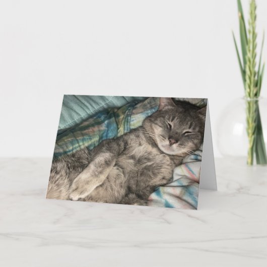 Kattenjong Kaart (Voorkant)