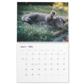 Kattenkalender Feline Kalender Home Muur A (Mar 2026)