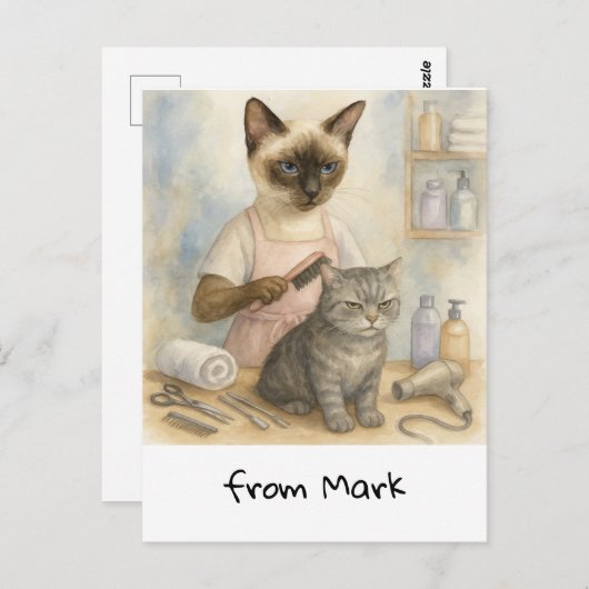 kattenkapper briefkaart (Voorkant / Achterkant)