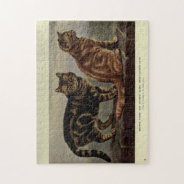 kattenkat Bruin Oranje tablet Kortademig Legpuzzel