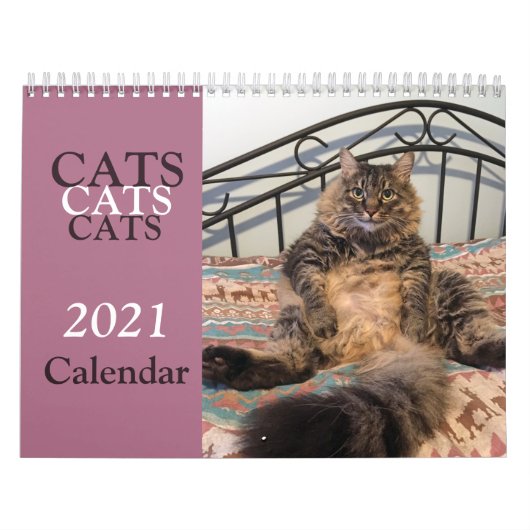 Kattenkattenkalender Kalender (Hoes)