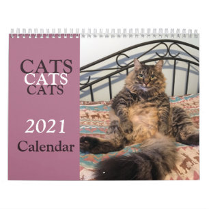 Kattenkattenkalender Kalender
