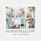 Kattenknuffelfoto Kerstmis Metalen Ornament (Voorkant)