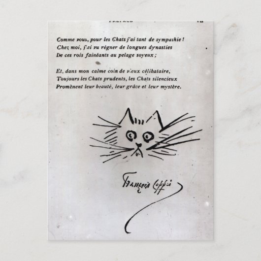 Kattenkop Briefkaart (Voorkant)
