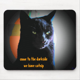 Kattenkruid Darkside Zwarte Kat Meme Muismat