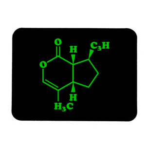 Kattenkruid Nepetalacton Moleculaire Chemische For Magneet