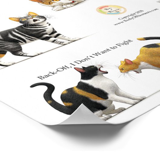 Kattenlichaamstaal Poster (Hoek)