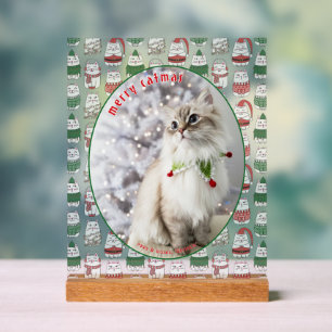 Kattenliefhebber Schattige Kerstkat Foto Kerstmis Acryl Bord