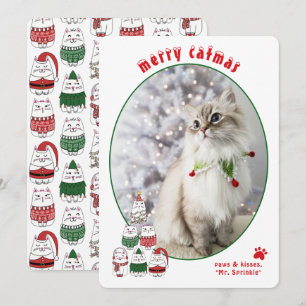 Kattenliefhebber Schattige Kerstkat Foto Kerstmis Feestdagenkaart