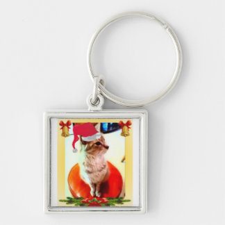 kattenliefhebber sleutelhanger