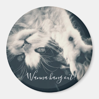 Kattenmagneet - wil je even chillen? magneet