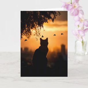 Kattenmedeleven Verlies van Kat Zonsondergang Met Kaart
