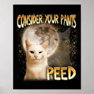 Kattenmeme Kattenliefhebber Kattenmoeder Grappig O Poster