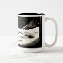 Kattenmodellen: Luna 01-01