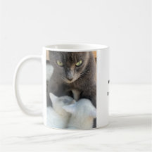 Kattenmok, Moederschap Humor, Grappige Mok