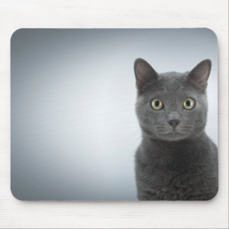 Kattenmuis Muismat