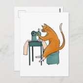  kattennaai briefkaart (Voorkant / Achterkant)