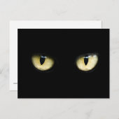 Kattenogen Briefkaart (Voorkant / Achterkant)