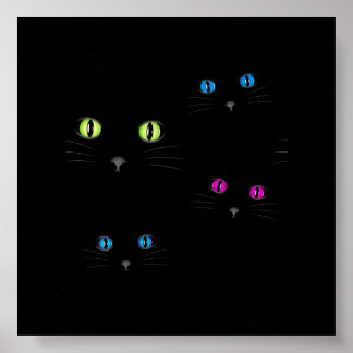 Kattenogen Poster