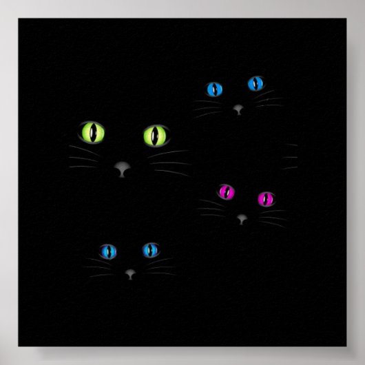 Kattenogen Poster (Voorkant)