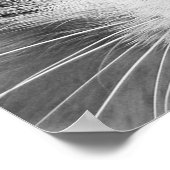 Kattenogen Poster (Hoek)