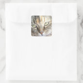 Kattenogen sticker (Tas)