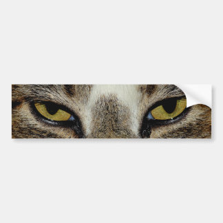 Kattenoog Bumpersticker
