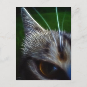 Kattenoogfotoanimatie Briefkaart