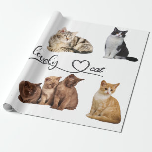 kattenpakket, pakket van Funny cats Cadeaupapier