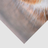 kattenpapier tissuepapier (Detail)