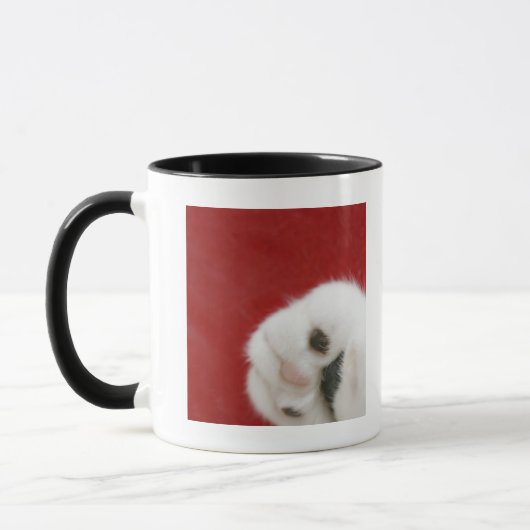 Kattenpoot Mok (Links)
