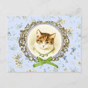  kattenportret briefkaart