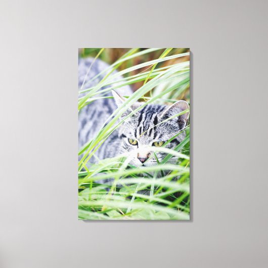 kattenportret canvas afdruk (Voorkant)