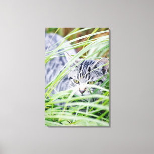 kattenportret canvas afdruk