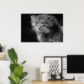 Kattenportret van Pallas Poster (Thuiskantoor)