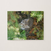 Kattenpuzzel Legpuzzel (Horizontaal)