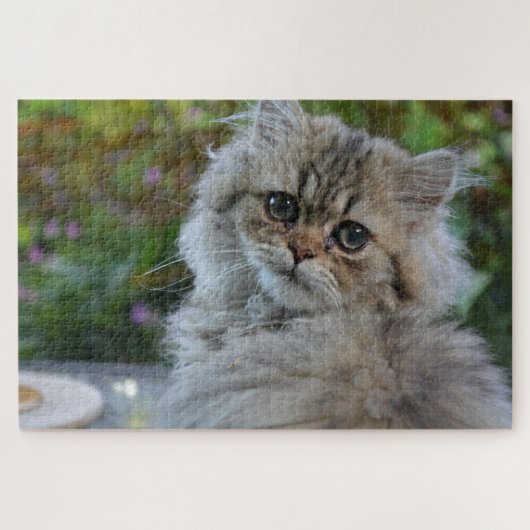 kattenpuzzel legpuzzel (Horizontaal)