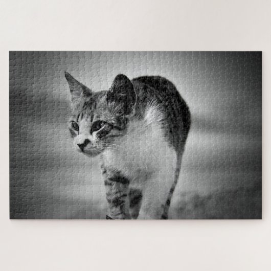 kattenpuzzel zoeken legpuzzel (Horizontaal)