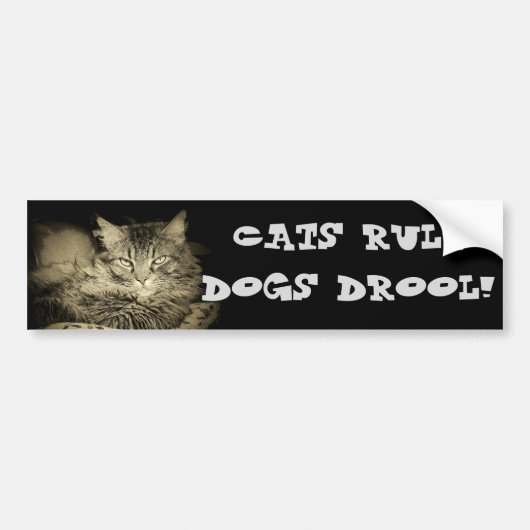Kattenregel Honden Drool Bumper Cat Bumpersticker (Voorkant)