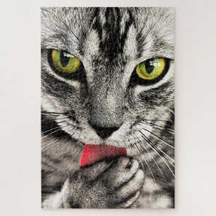 Kattenreiniging Legpuzzel