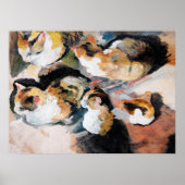 Kattenschilderij Poster (Voorkant)