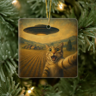 Kattenselfie met buitenaardse UFO grappige katteng Keramisch Ornament
