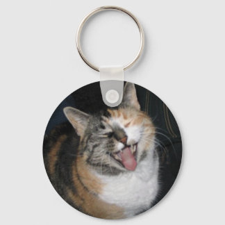 kattensleutelketen lachen sleutelhanger