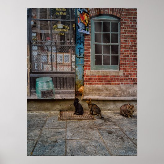 Kattenspel Poster (Voorkant)