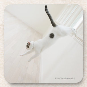 Kattenspringen Onderzetter